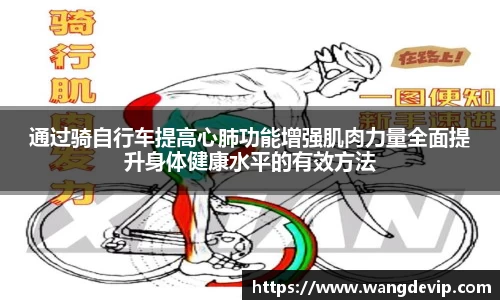 通过骑自行车提高心肺功能增强肌肉力量全面提升身体健康水平的有效方法