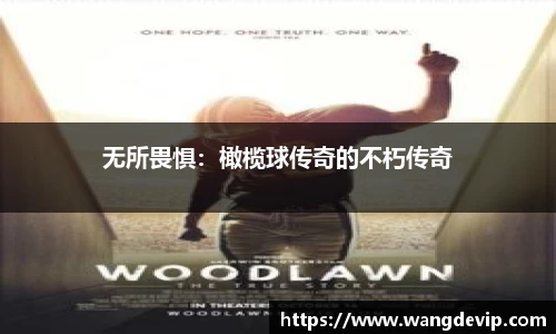 无所畏惧：橄榄球传奇的不朽传奇