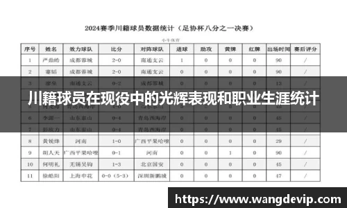川籍球员在现役中的光辉表现和职业生涯统计