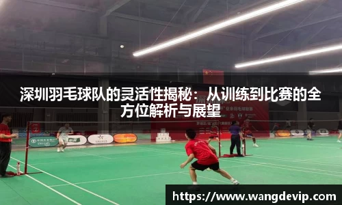 深圳羽毛球队的灵活性揭秘：从训练到比赛的全方位解析与展望